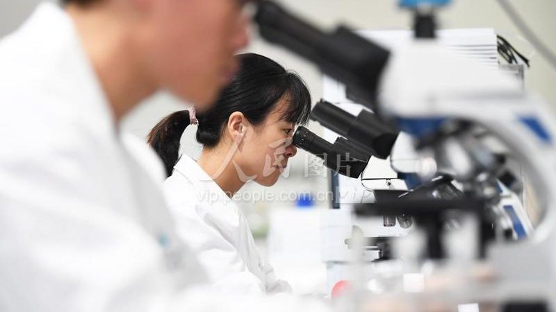 参数解析：关键指标识别