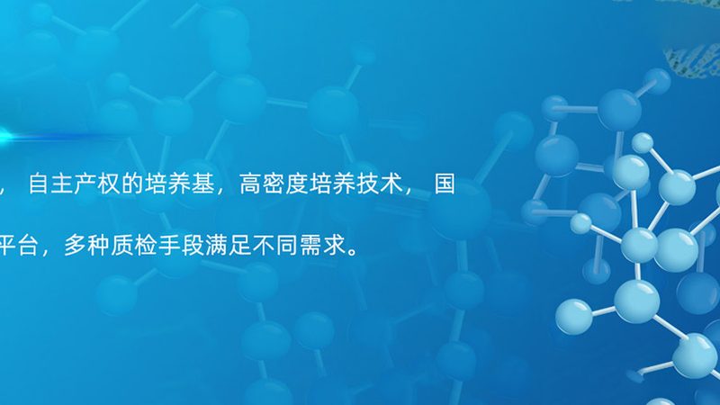医药研发外包服务协议规范：构建合作共赢的基石
