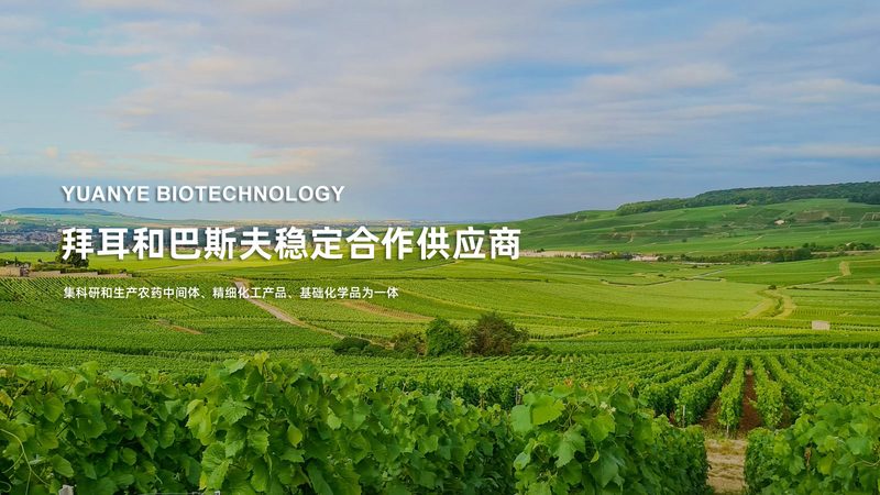 抗体药物细胞工厂纯化生产线：揭秘其背后的技术奥秘**