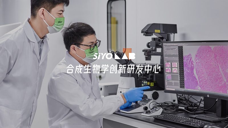 生物医药外包成本控制：关键步骤与策略解析**