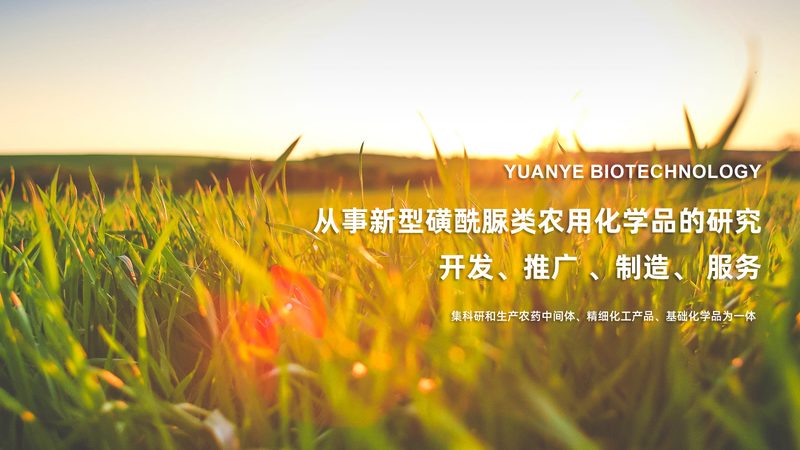 成都细胞培养基直销：揭秘其背后的技术与选择要点