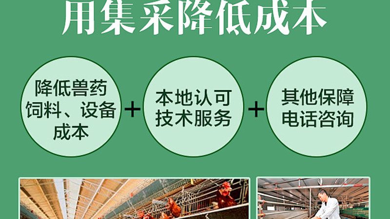 诊断试剂原料定制：揭秘背后的技术奥秘**