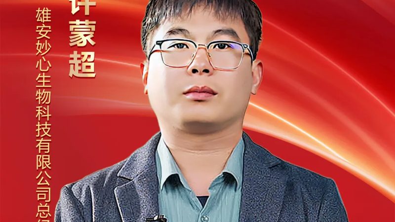 揭秘创新药CDMO工艺开发流程：关键步骤与要点解析