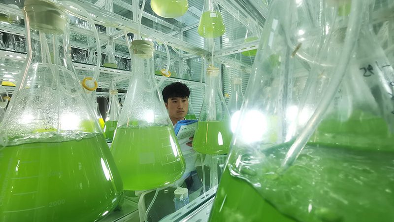 小分子CDMO项目外包：如何规避潜在风险，确保项目顺利进行